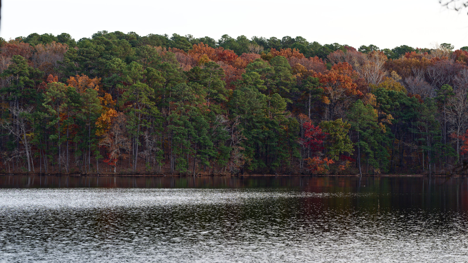 Lake Johnson in late November