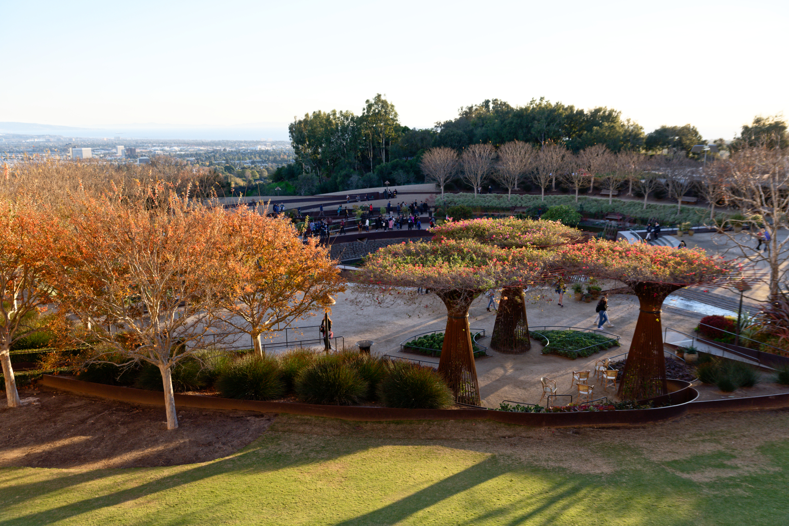 California placeholder 3